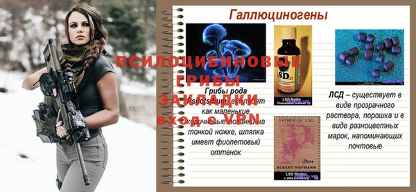 прущий лед Киреевск