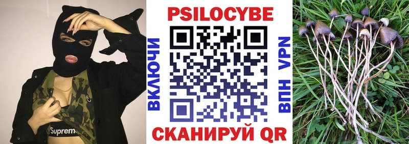 площадка Telegram  Чебаркуль  Псилоцибиновые грибы Cubensis  где купить  